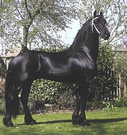 Beart02