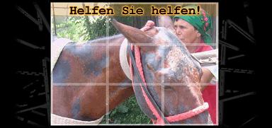 Helf