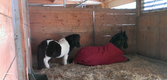 TB-IMAG2053_1 TB-IMAG2053_1