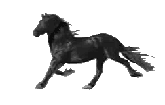 i257049188_49366_702