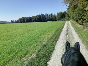 9.09.2018-3