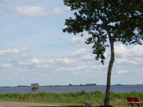 DSC0027204 DSC0027204