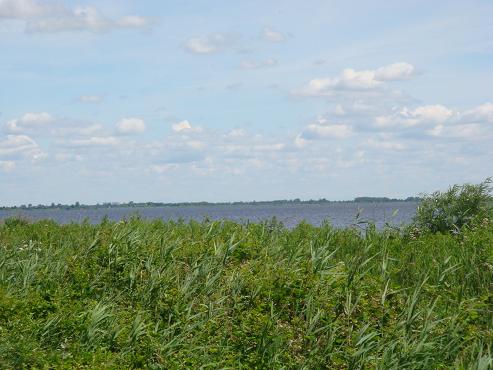 DSC0027502 DSC0027502