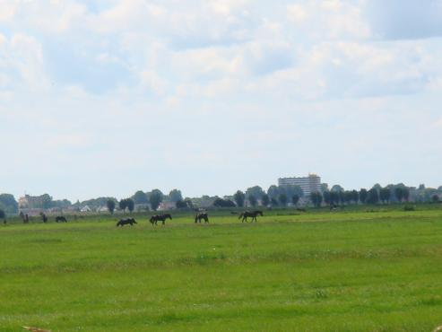 DSC0028302 DSC0028302