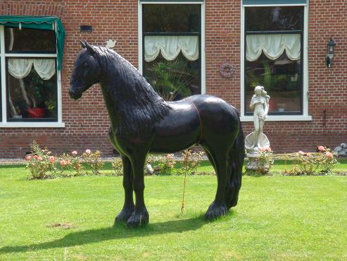 DSC0028502 DSC0028502