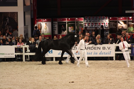 IMG_5526 IMG_5526