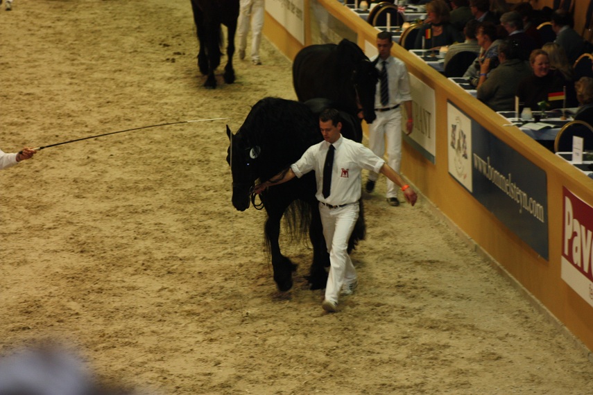 IMG_5531 IMG_5531