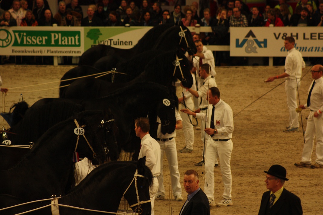 IMG_5542 IMG_5542