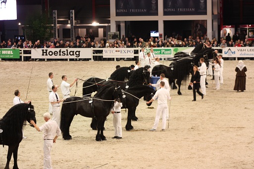 IMG_5577 IMG_5577