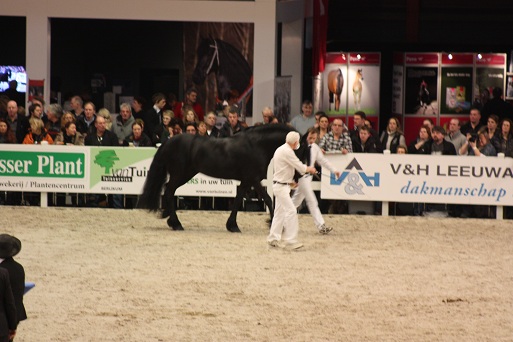 IMG_5619 IMG_5619