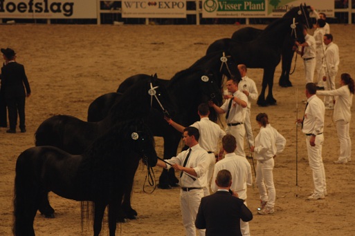 IMG_5631 IMG_5631