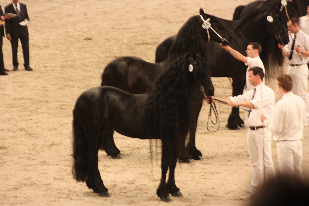 IMG_5641 IMG_5641