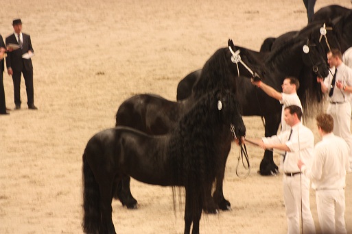 IMG_5642 IMG_5642