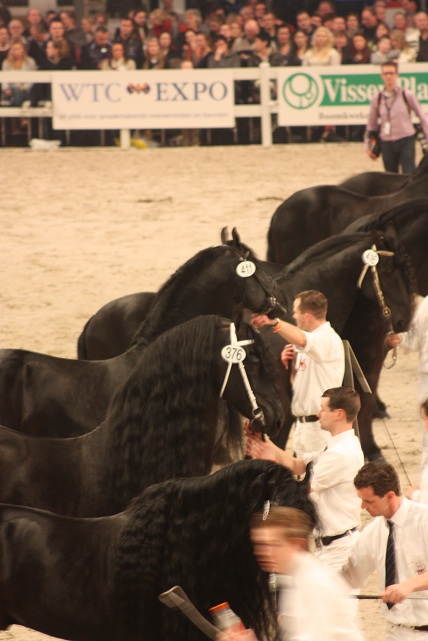IMG_5655 IMG_5655