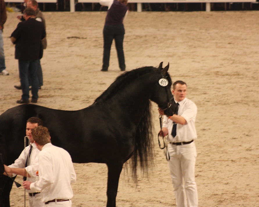IMG_5679 IMG_5679