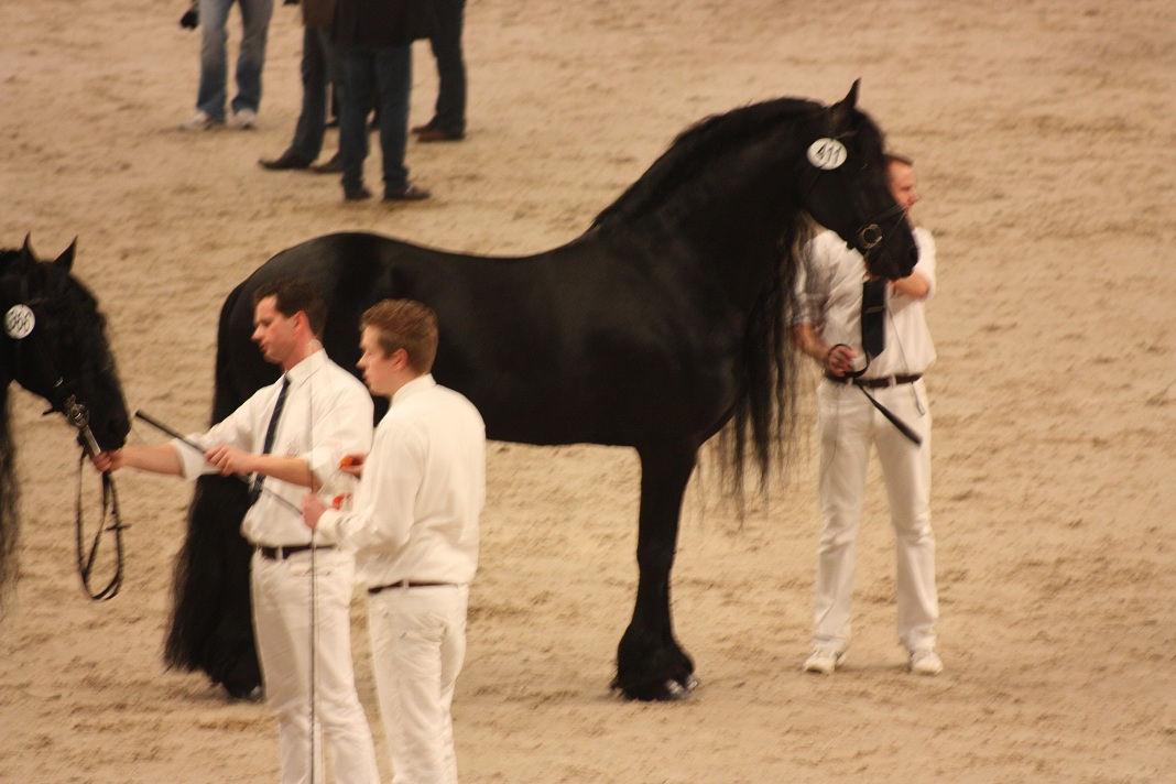 IMG_5683 IMG_5683
