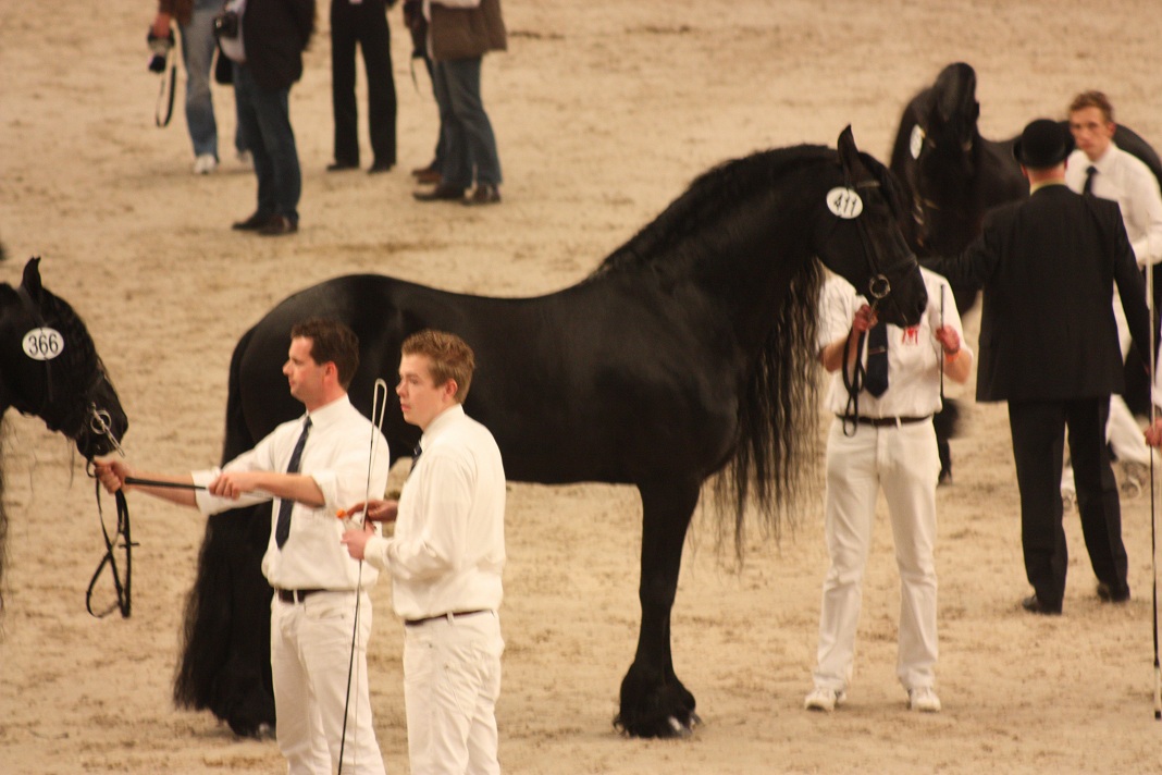 IMG_5686 IMG_5686