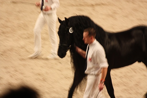 IMG_5726 IMG_5726