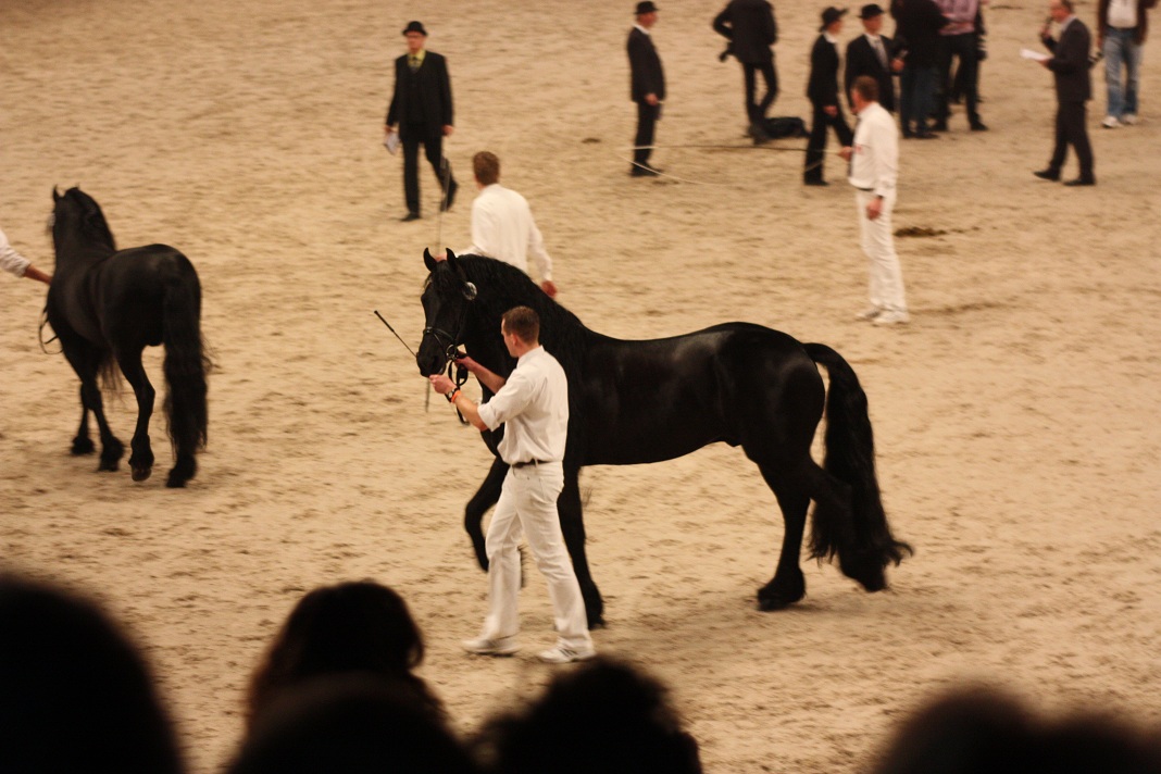 IMG_5728 IMG_5728