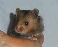 kDorma 19.09.19 kDorma 19.09.19